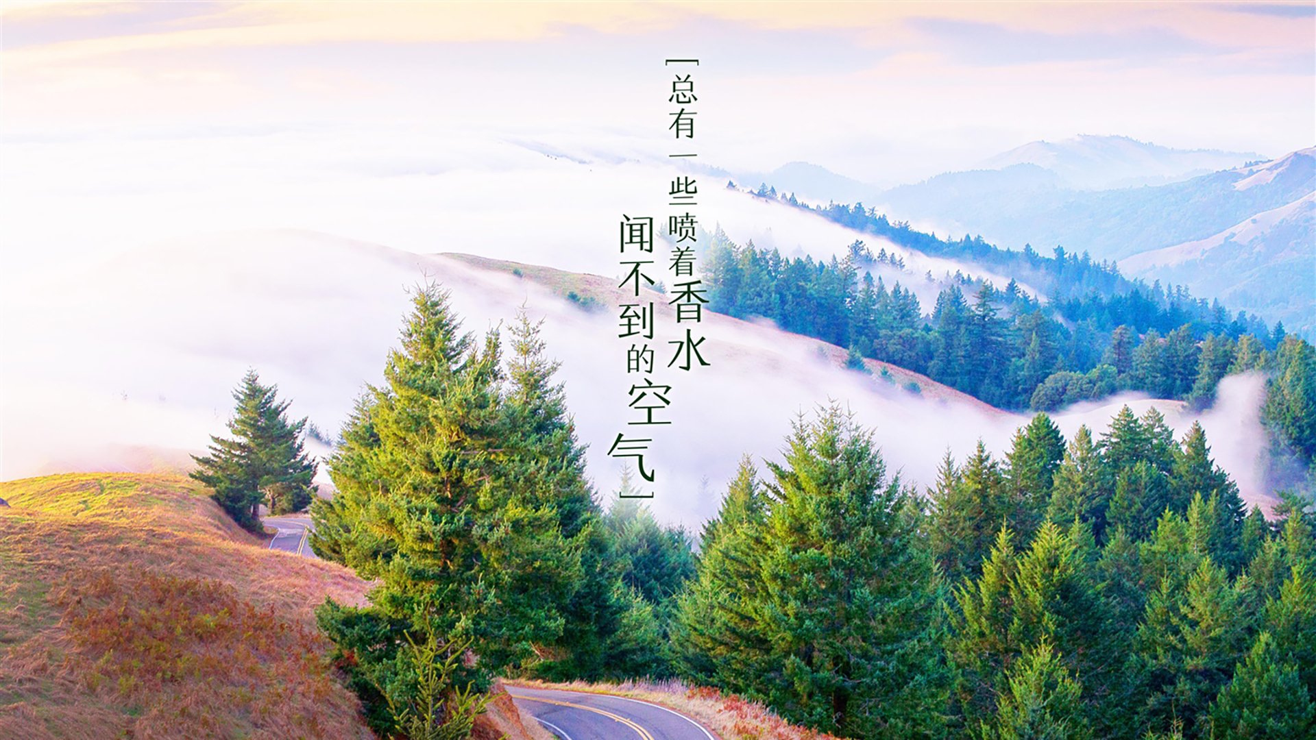 爱游戏电竞官网-《王者荣耀海外扩展赛，欧美队伍表现抢眼》，王者荣耀进军欧美