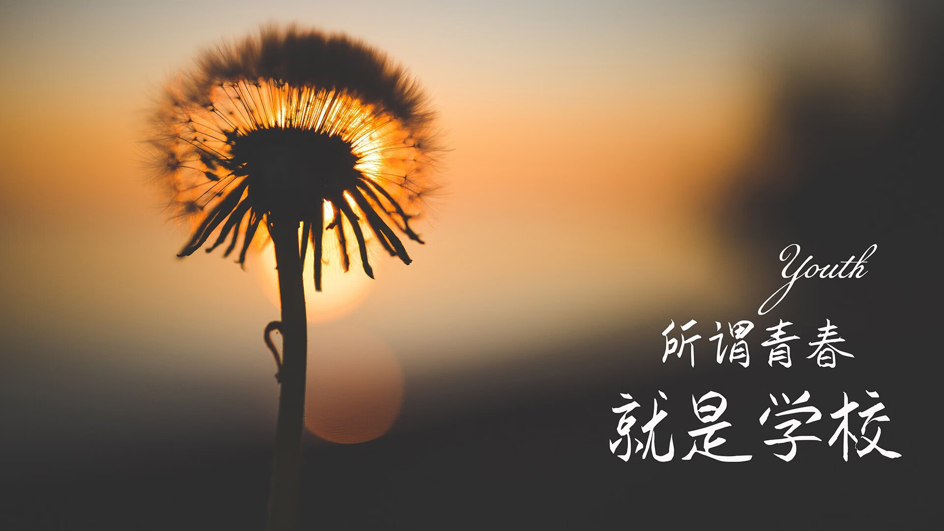 爱游戏体育官方网站-东京武士道击败重庆飞虎队，实现两连胜，东京武道馆能容纳多少人