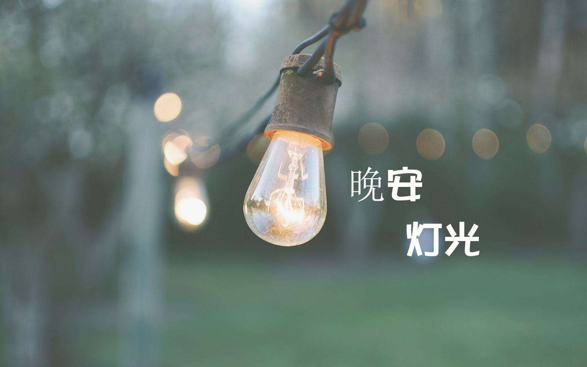 主教练岗位是否应引入考核积分排名制度，教练员排名是根据哪些维度作为考核标准