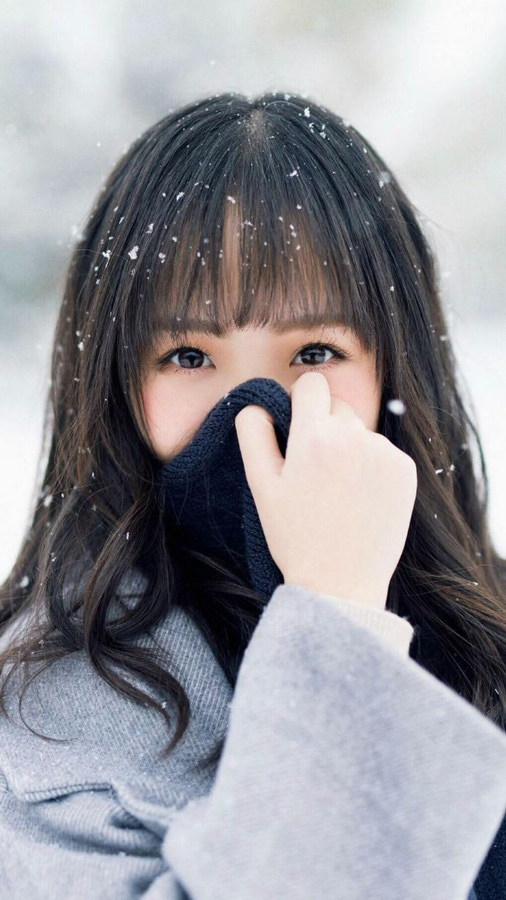 故乡之战备受瞩目，球员斗志高昂，故乡之路简谱
