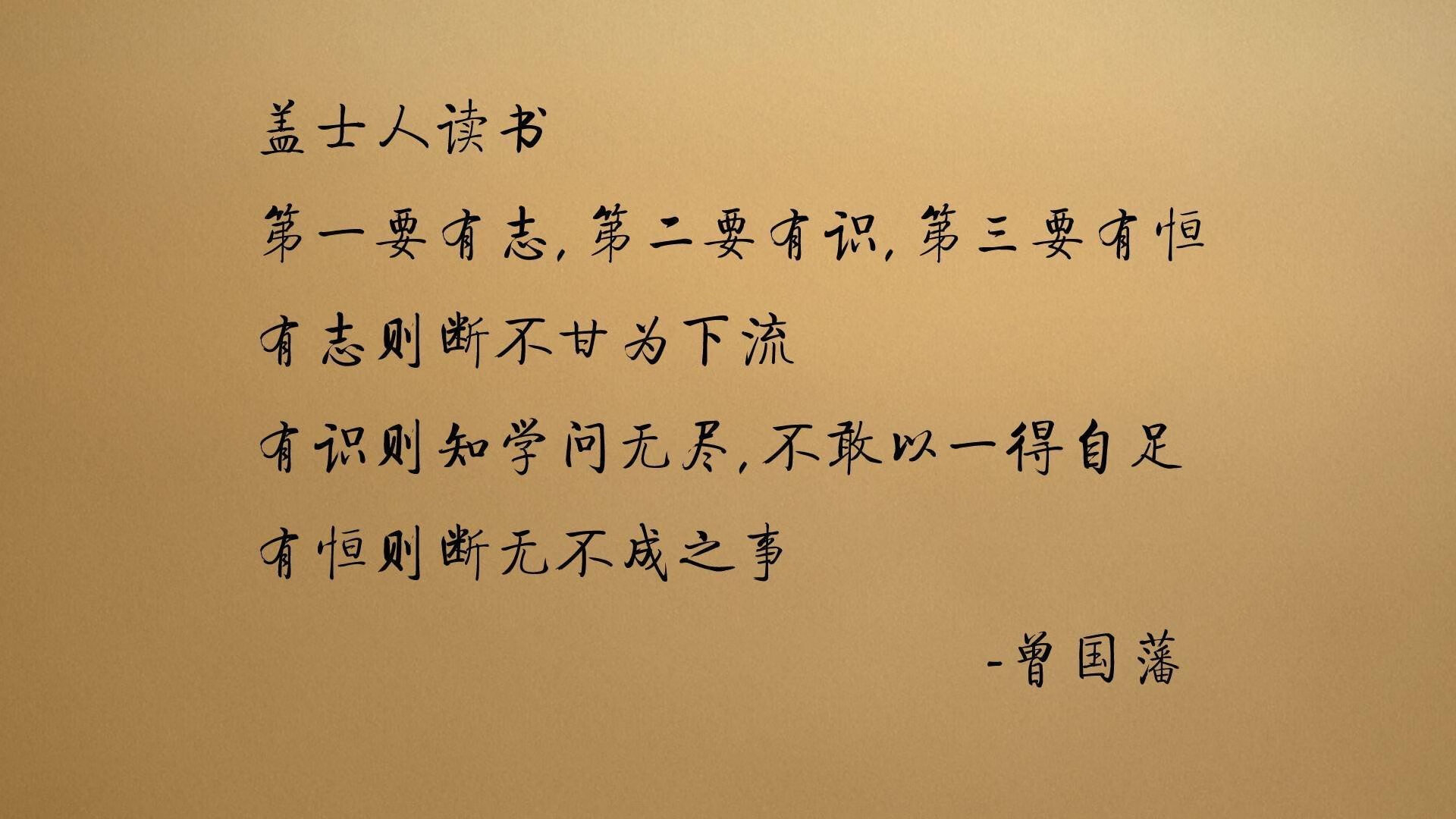 体育信息平台建设与用户交互体验分析，体育信息服务