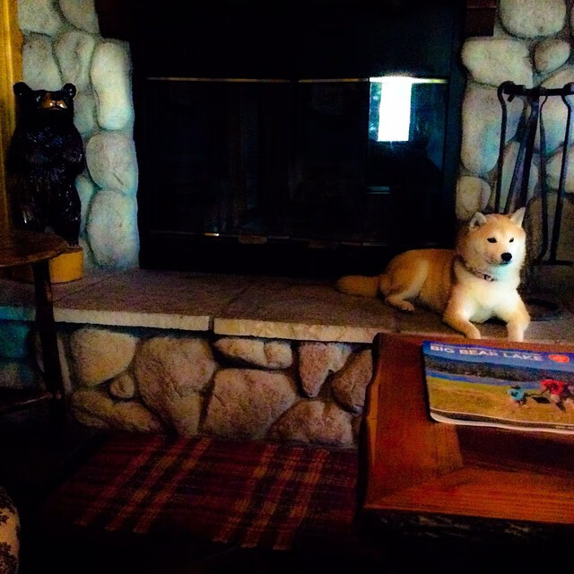 篮球比赛策略智能辅助系统研究与应用,篮球技能比赛