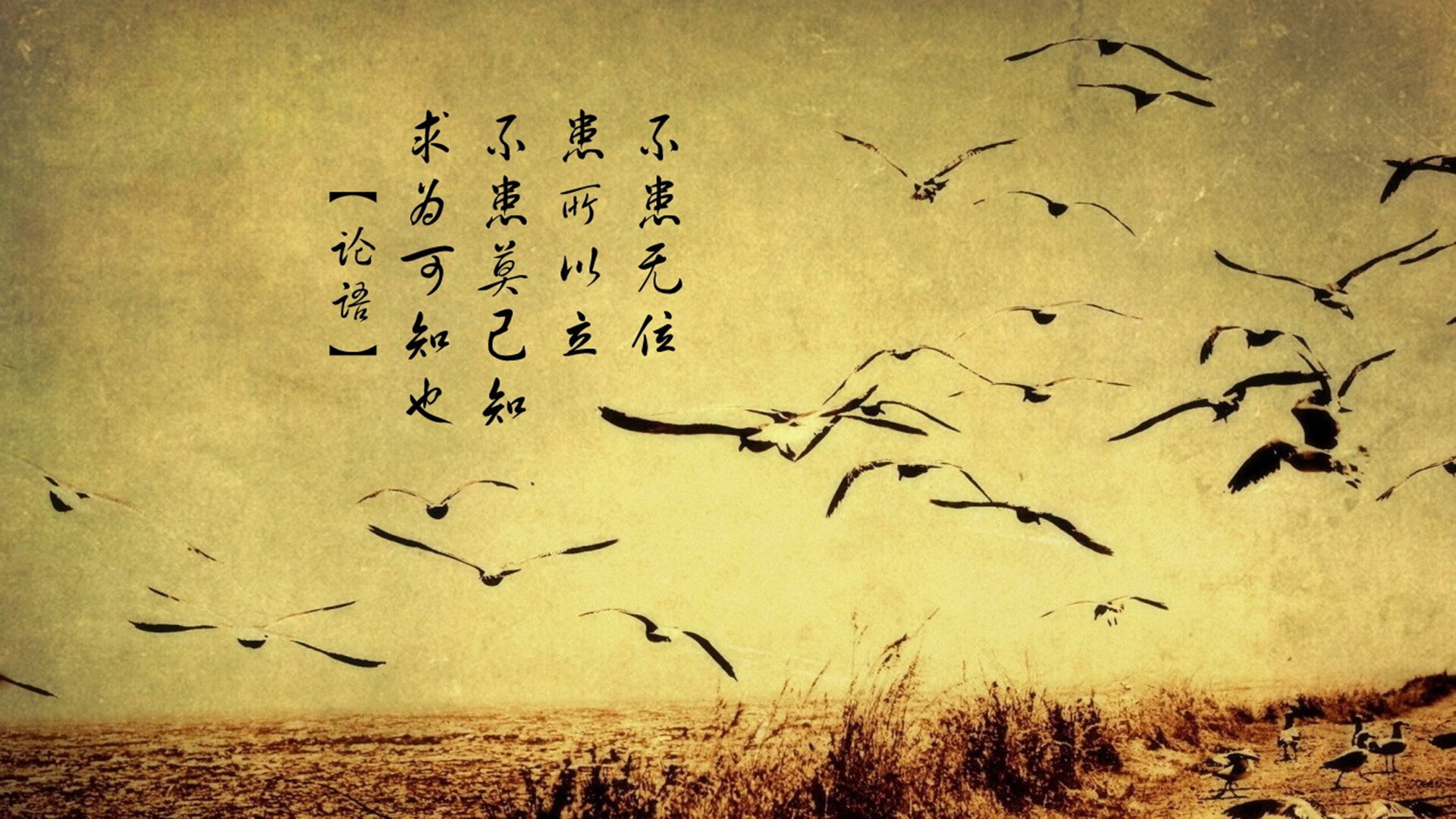 体育新闻中心上线体育热点话题智能追踪平台,热门体育新闻