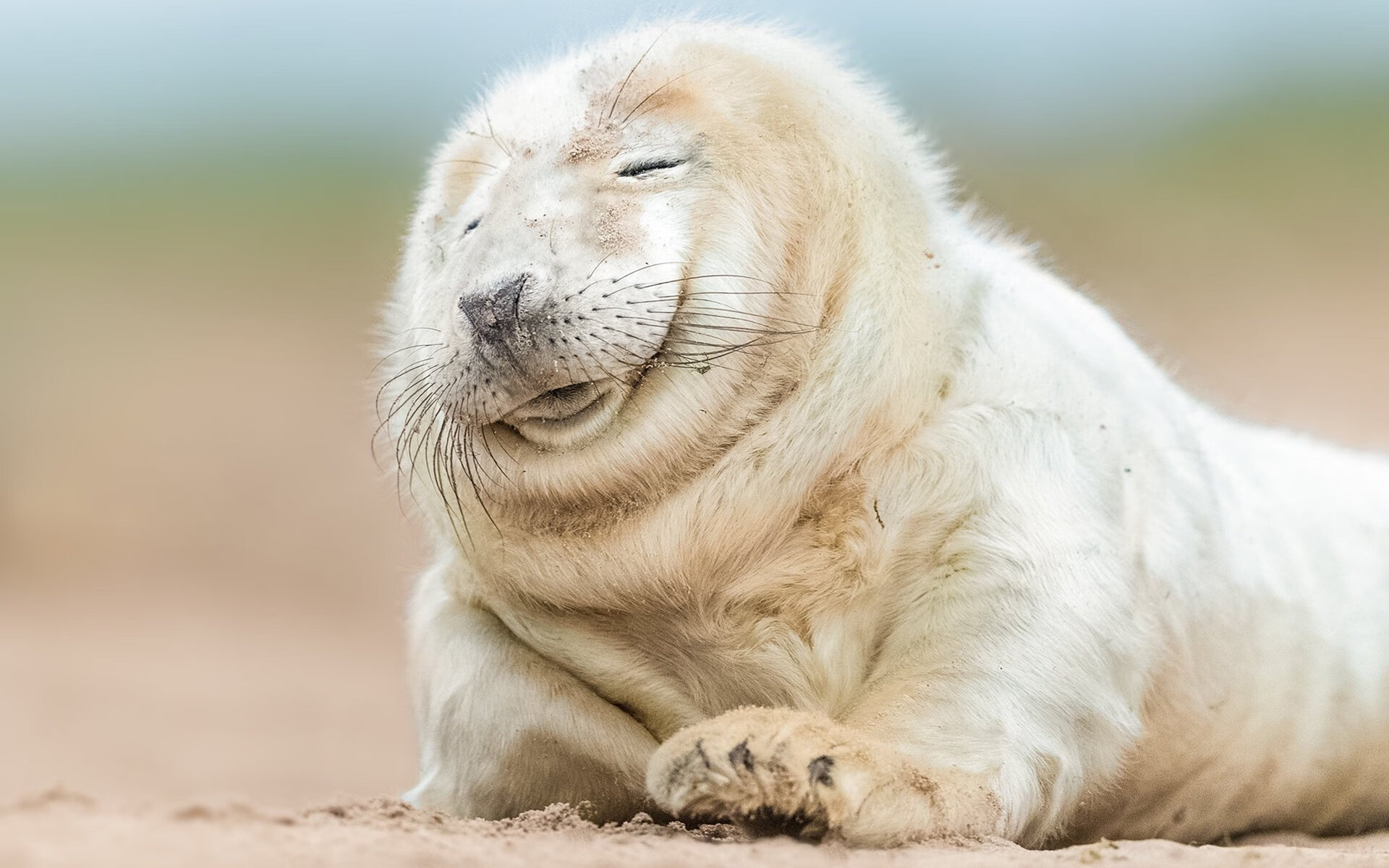 爱游戏官方网站-山西龙狮积极引导新人快速融入比赛体系，龙狮比赛视频