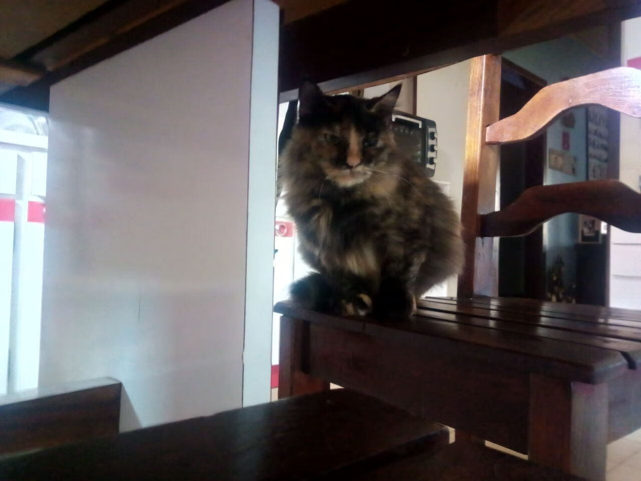 AYX体育-直播技术应用丰富观众互动体验，现场直播的技术要素