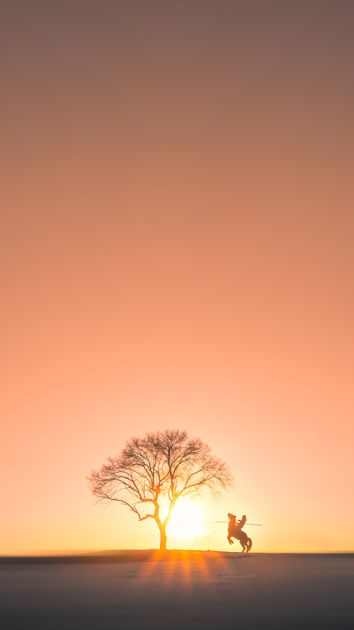 爱游戏在线登录入口-乔·莫伊：全黑队的“铁血战士”，在scrum中毫不退让