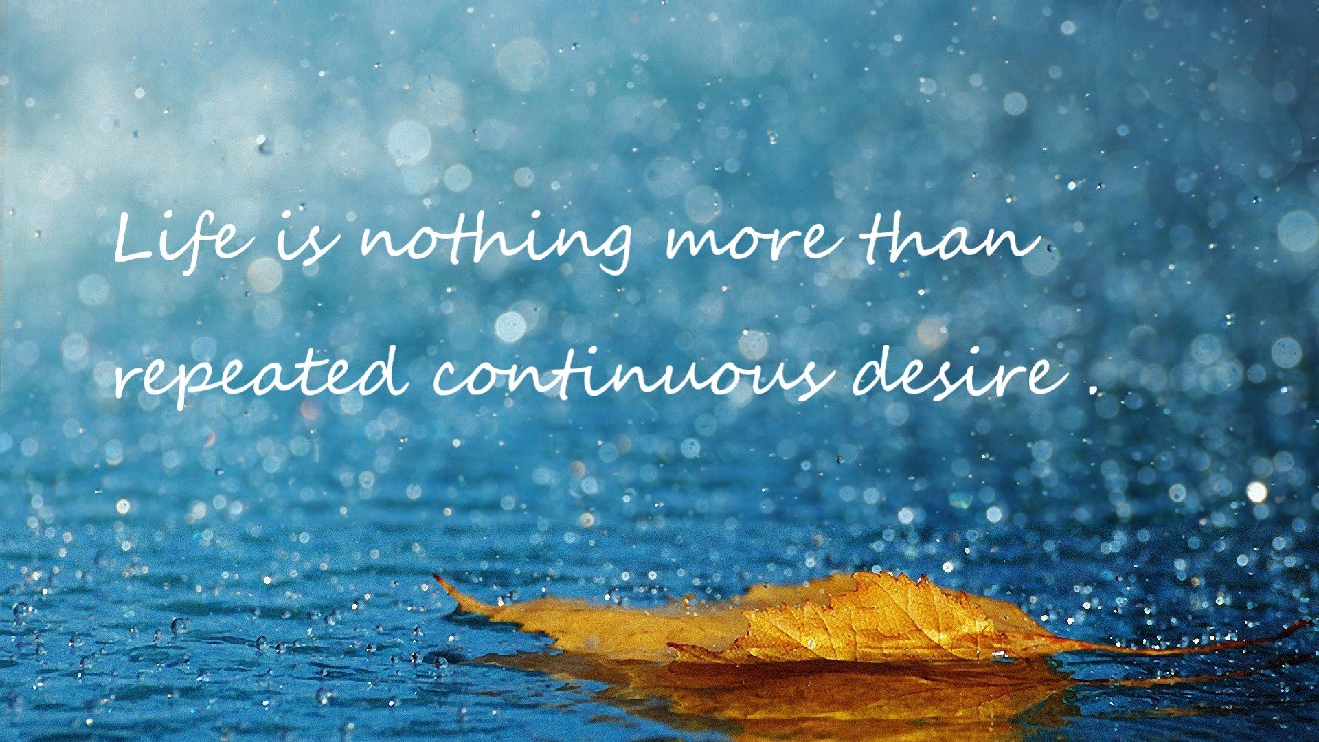 篮球运动伤病预防方案进入学校课程，篮球项目运动损伤防护方法