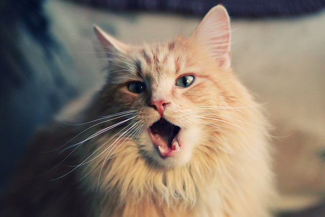 爱游戏官方-足球亚洲杯中国队赛程公布，亚洲杯足球中国赛程表